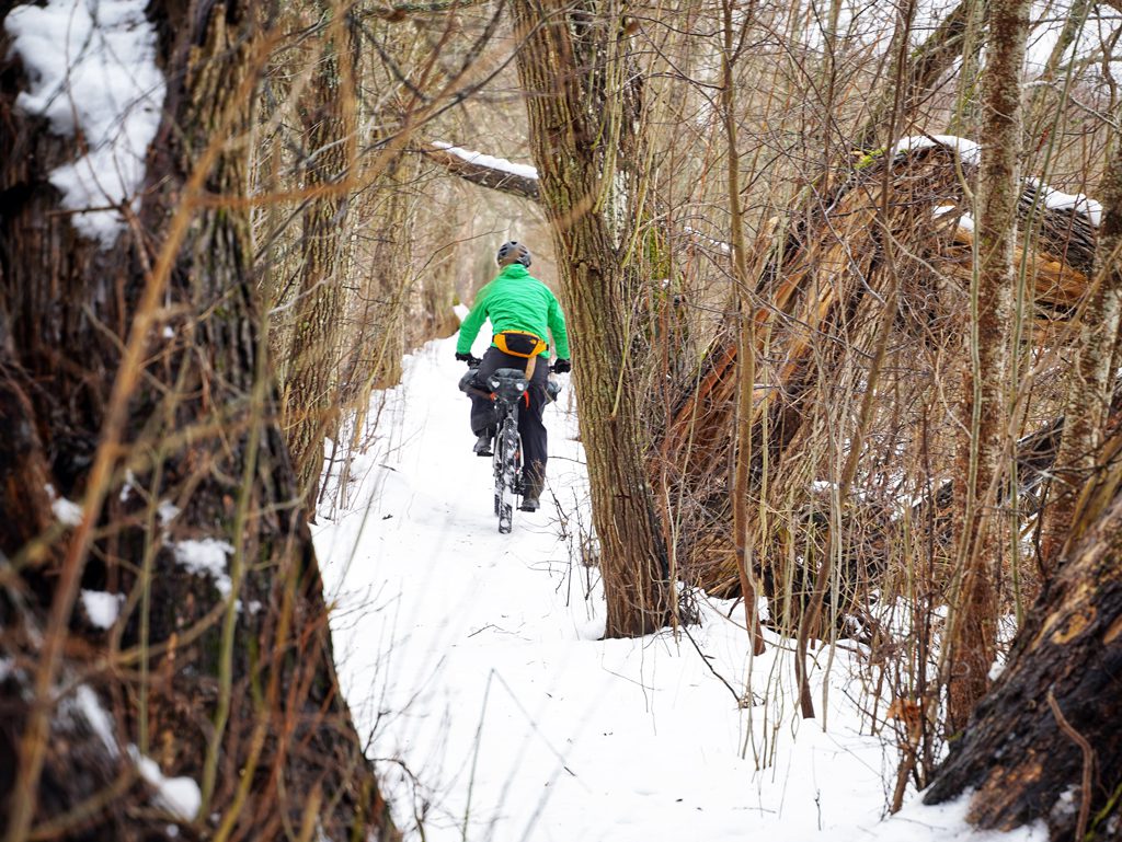 Riding through the snow in the Swedish woods.