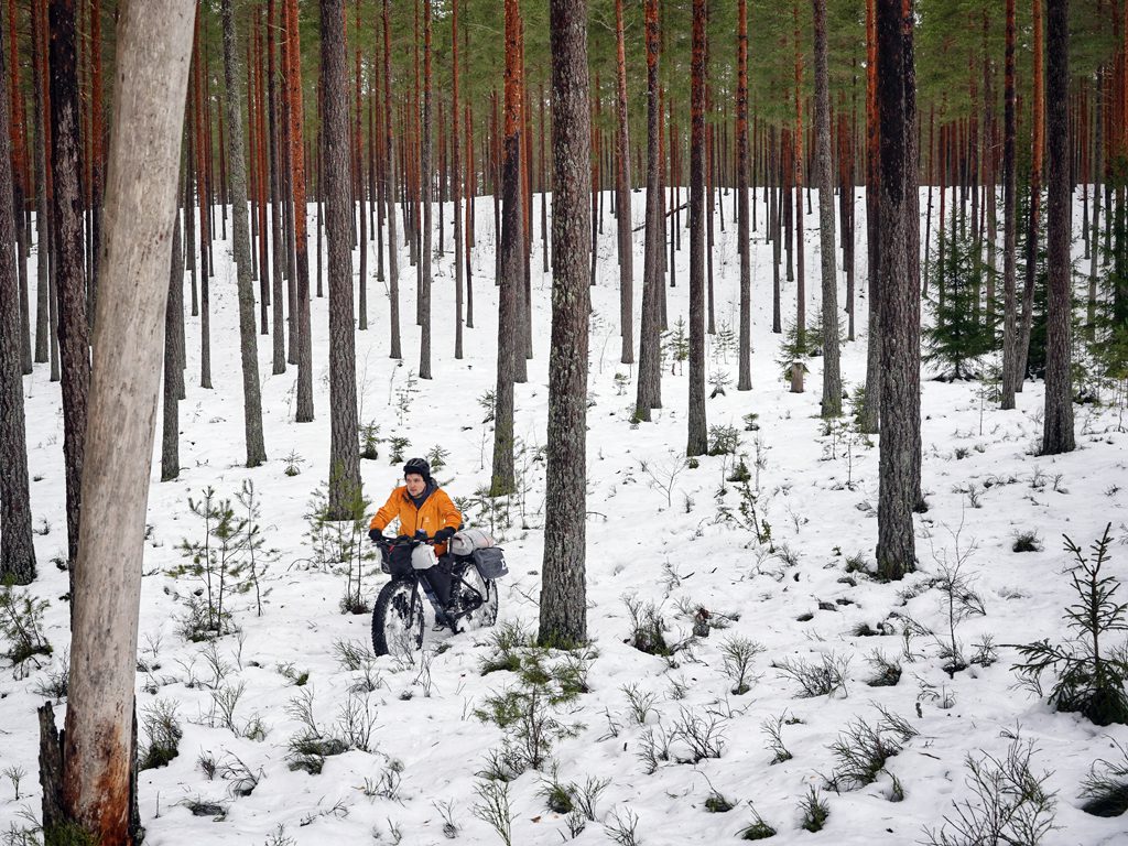 Riding through a Swedish forest in the snow