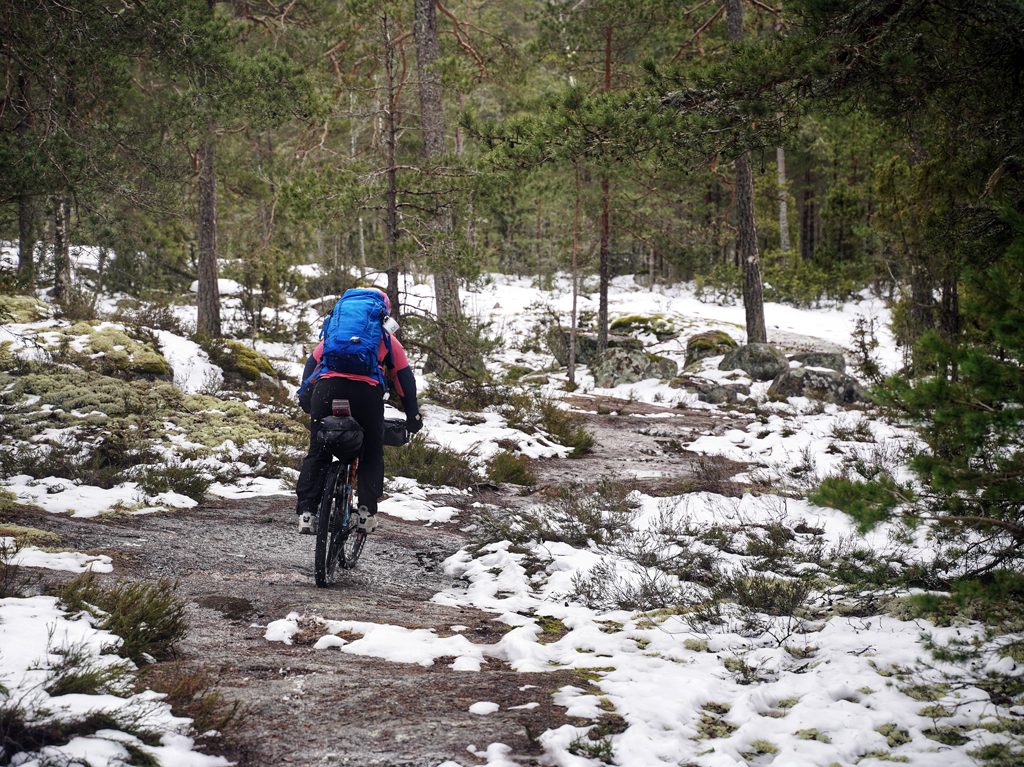 Rocks and mud peaking though the snow in the forests of Sweden