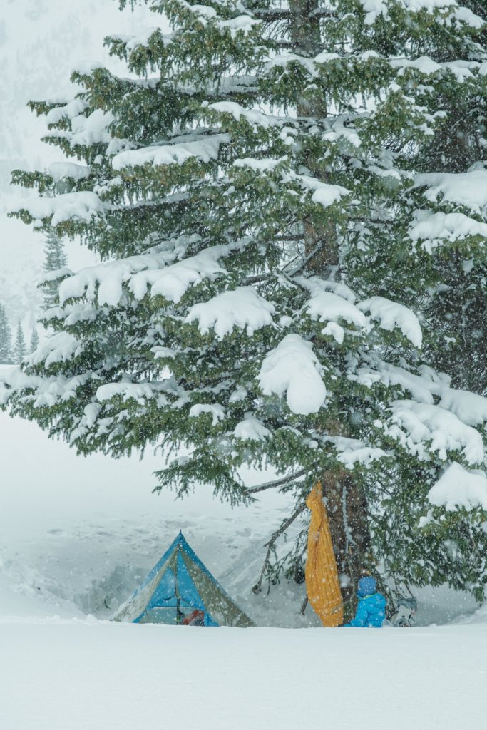 Snow camping under a large tree.