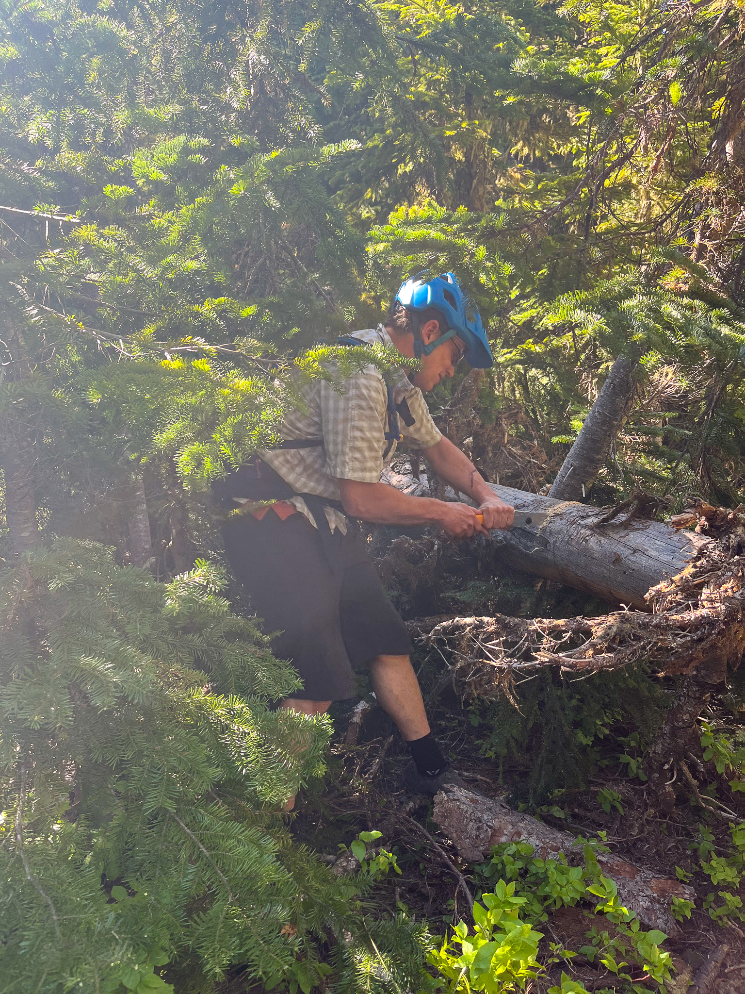 Trail Work