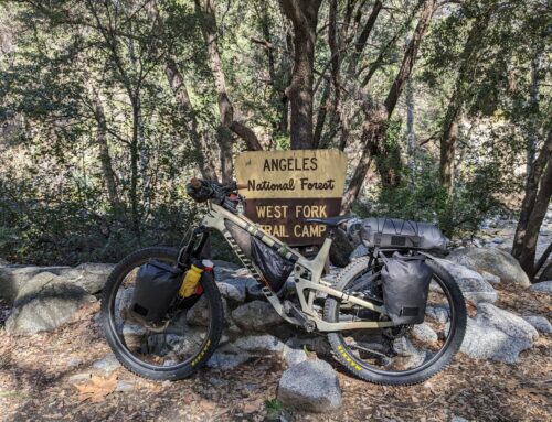 Trails, Tacos, and Triumphs