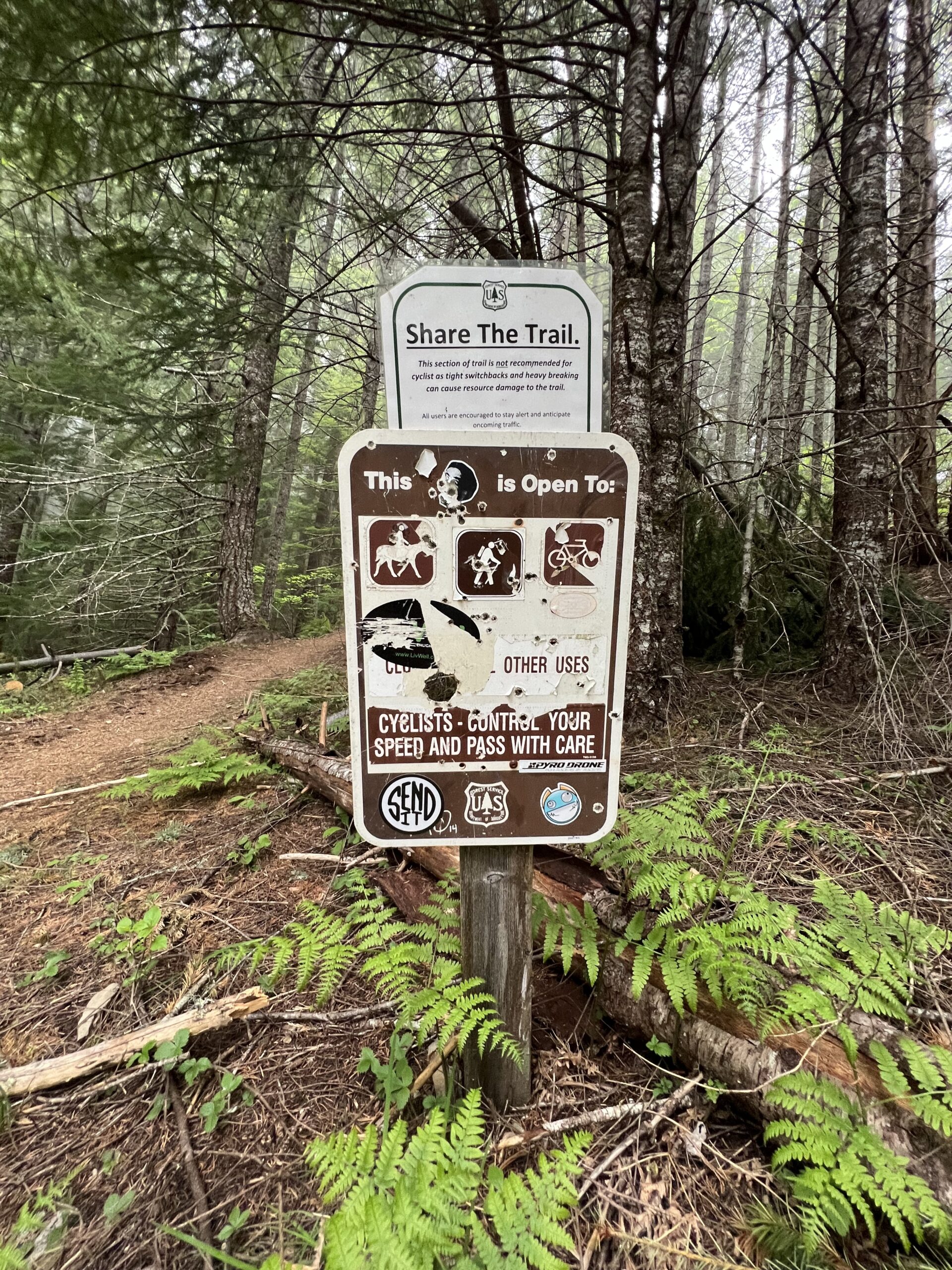 MTB forestry trail sign