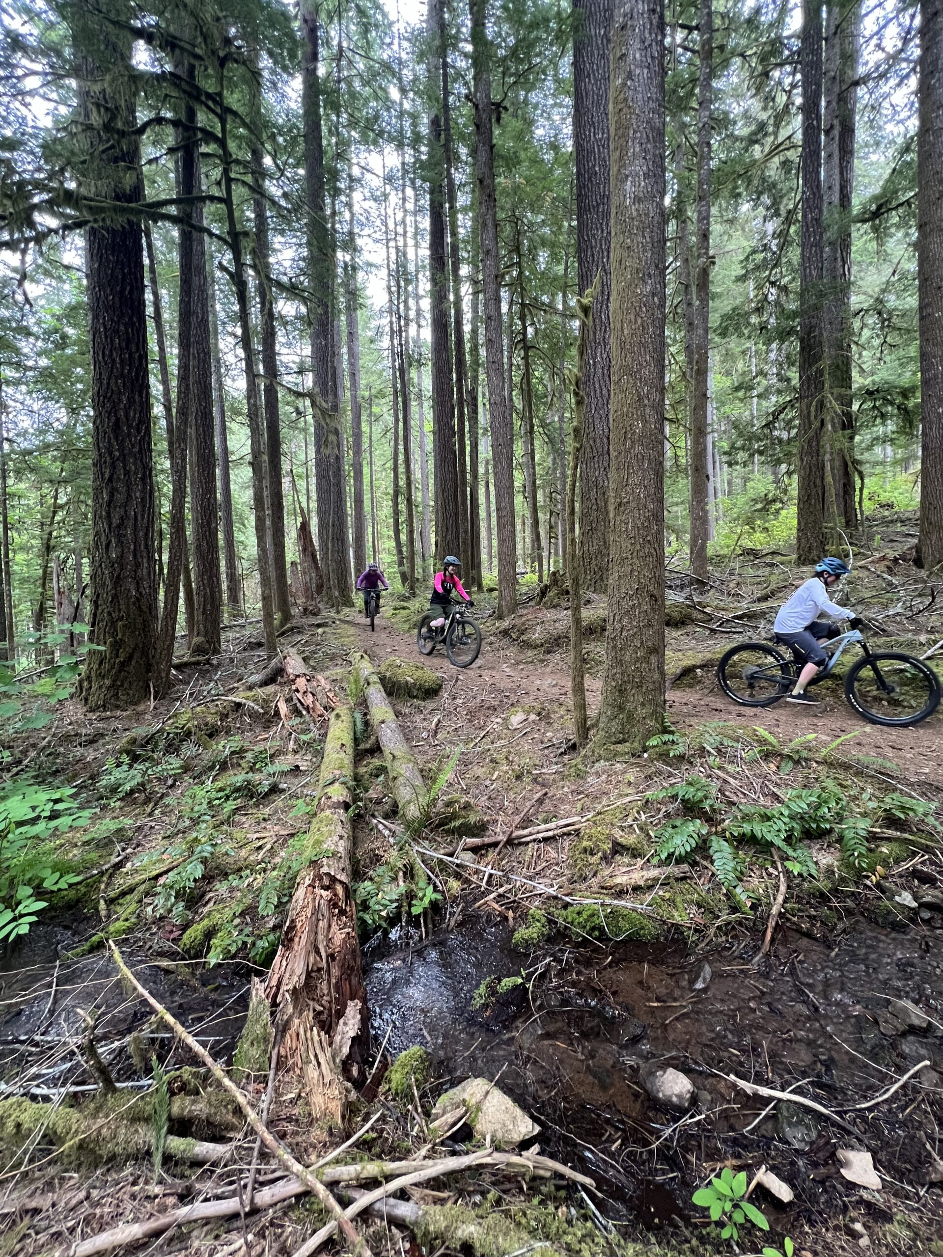 RAP/OMM Team ride on the Kings Castle/O'Leary Trail