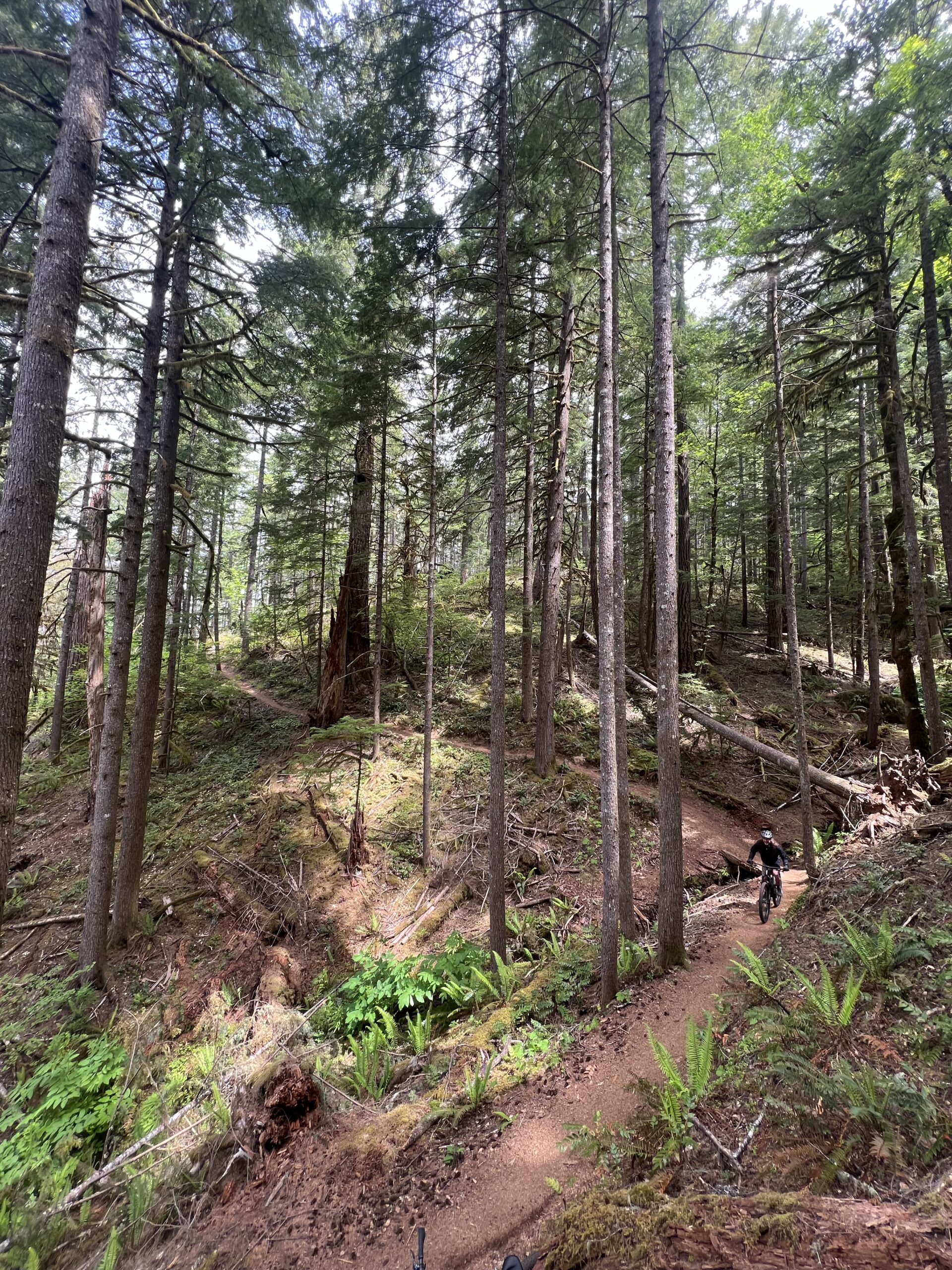 RAP/OMM Team ride on the Kings Castle/O'Leary Trail