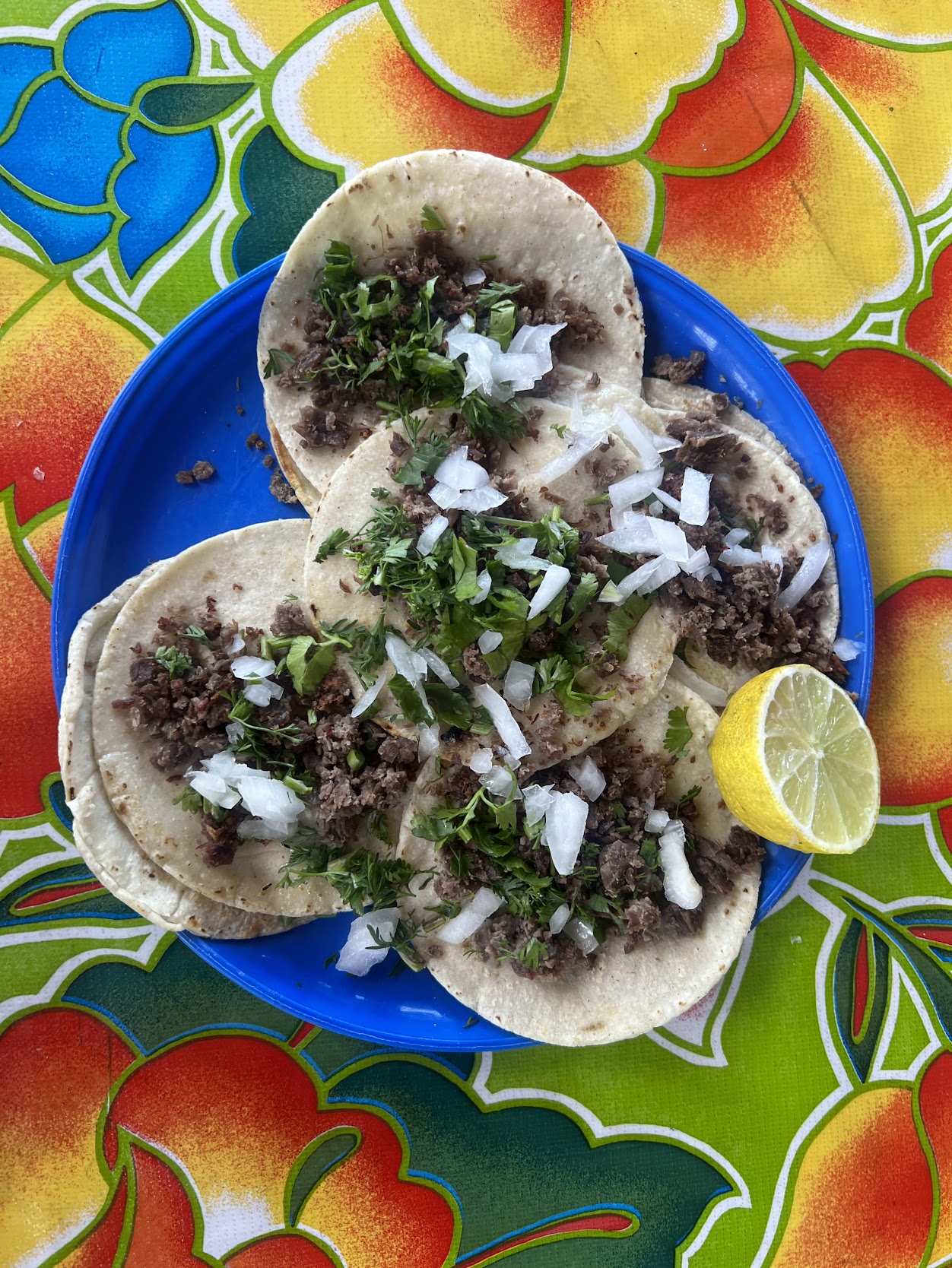 Noc15 Oaxacan tacos