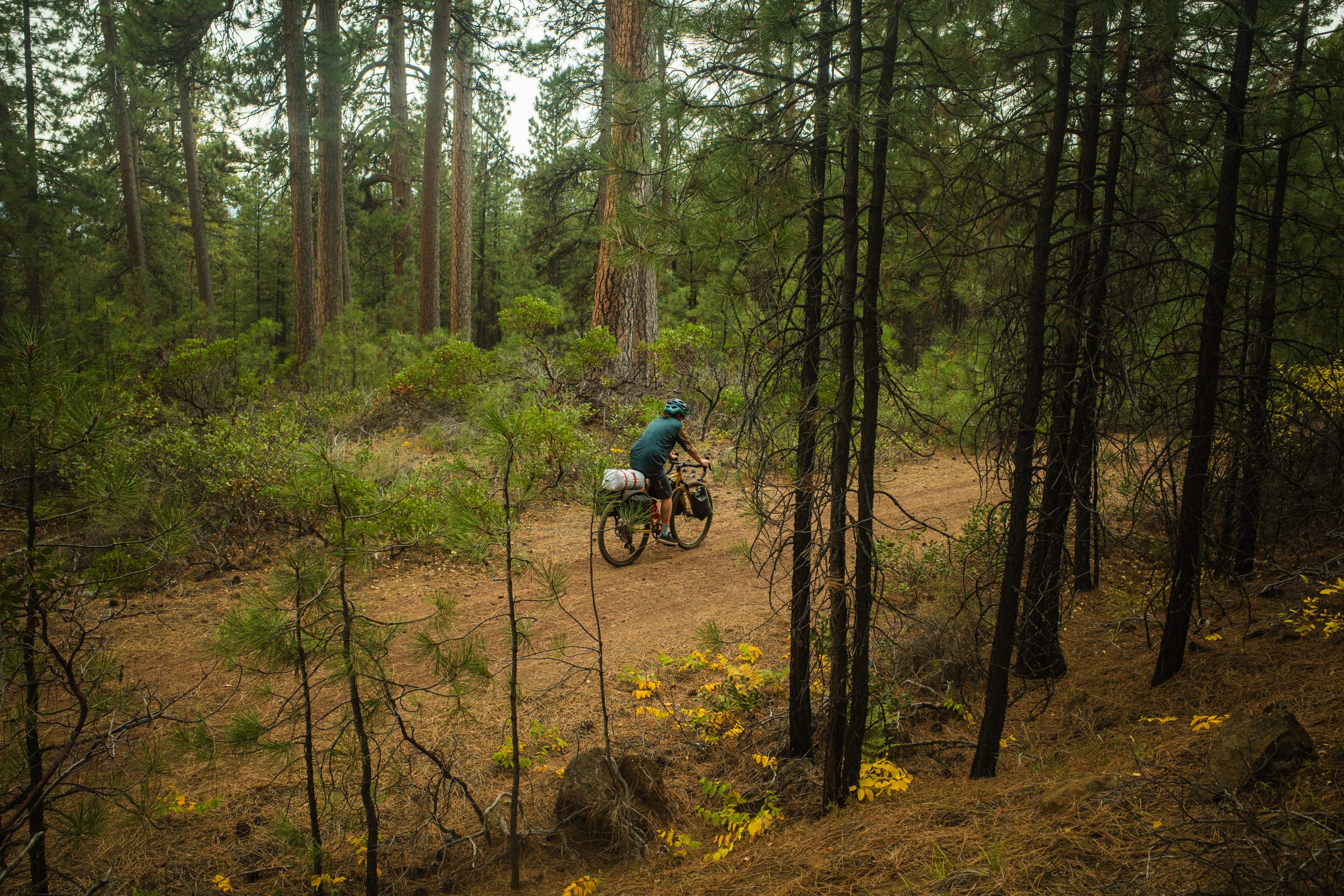 Rachael Goes for a Ride-18 Beginning of Sisters Loop Bikepacking Trip
