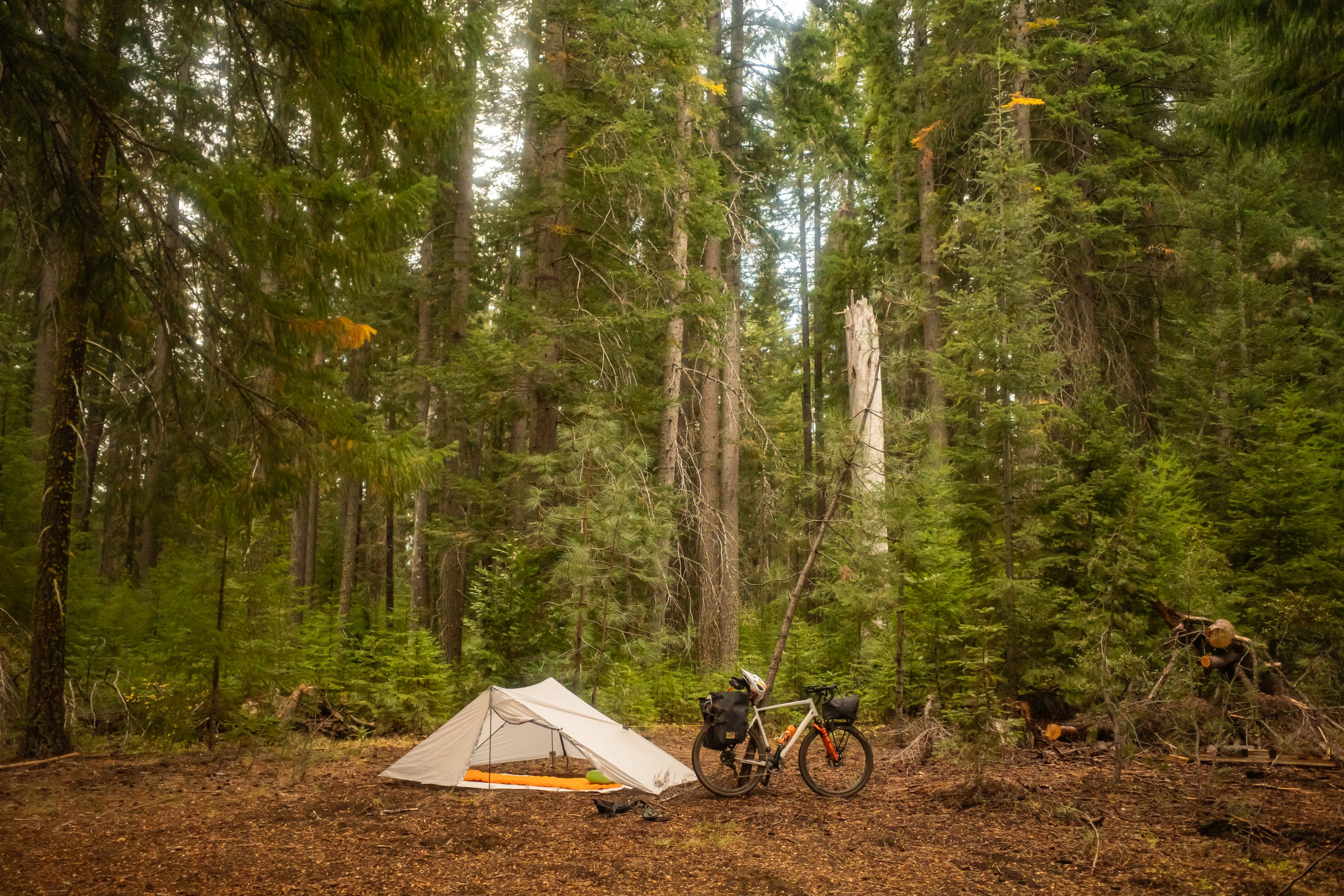 Rachael Goes for a Ride-49 Middle of Sisters Loop Bikepacking Trip- Dispersed camping