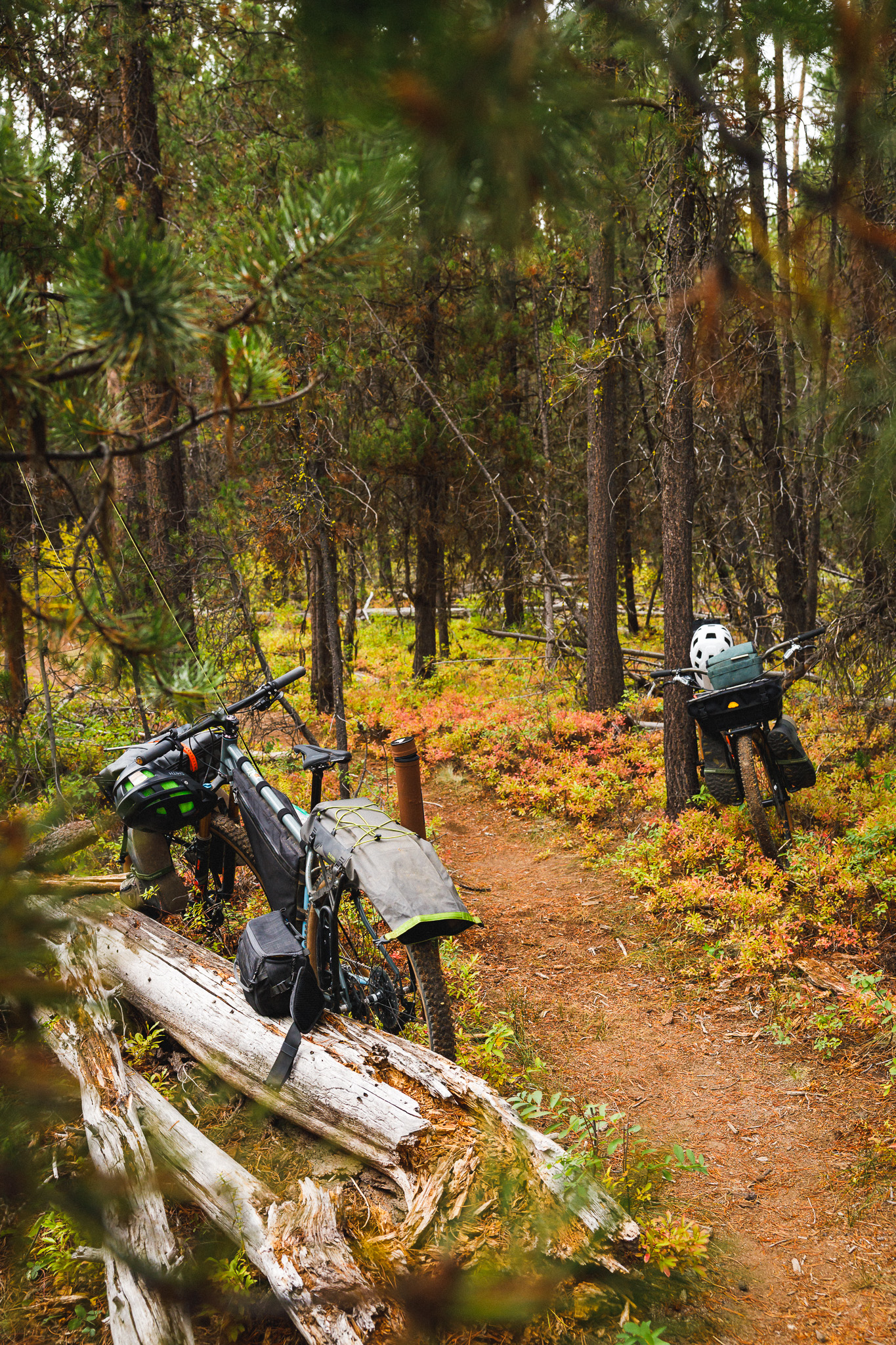 _Q9A9233 Two bikefishing bikes lean along the trail.