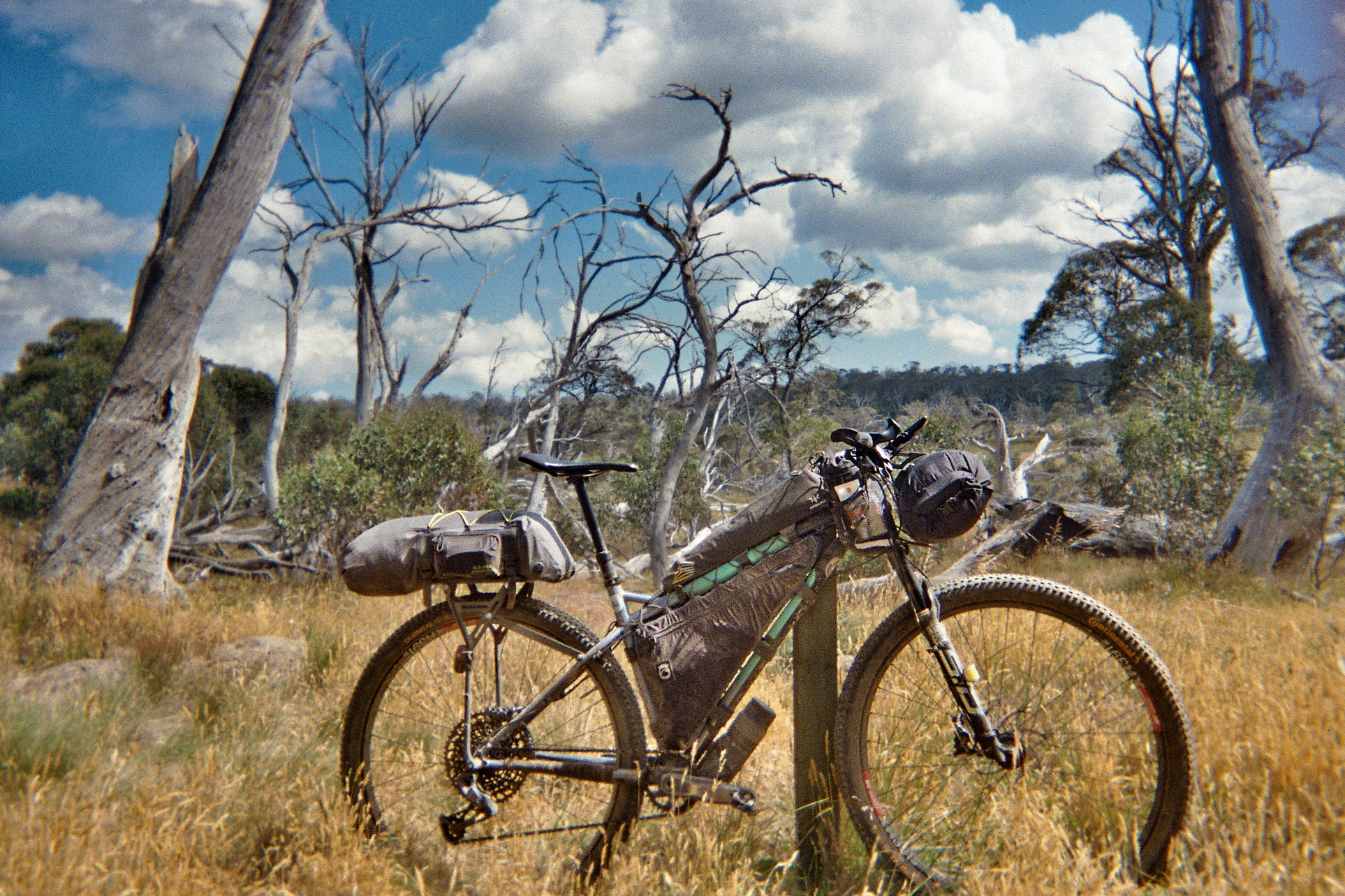 Lorenz's bikepacking bike in front of a landscape of dead trees.
