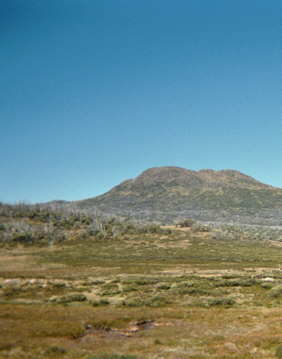 Burned Australian landscape.