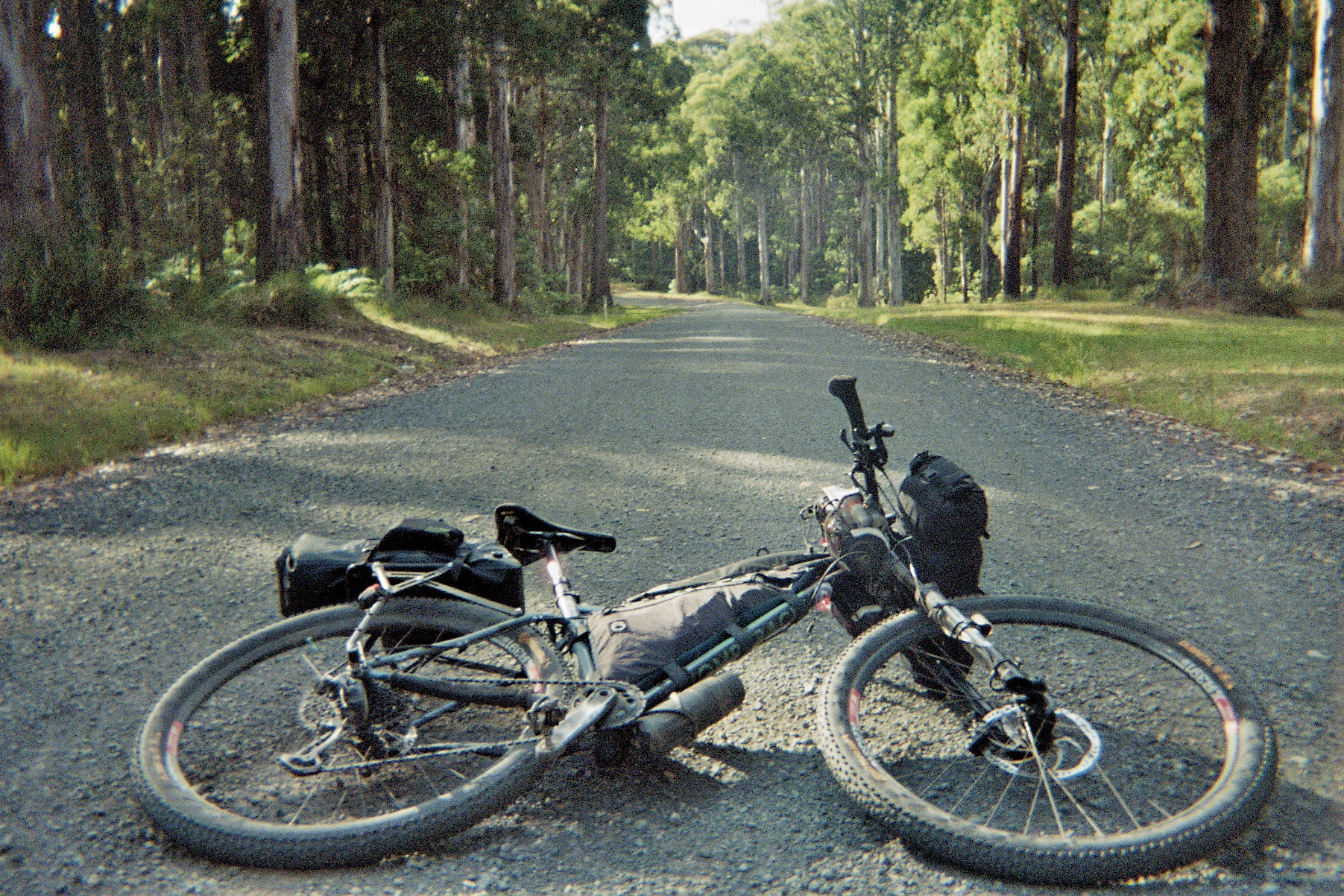 Lorenz's Old Man Mountain equipped bike laying in the road.