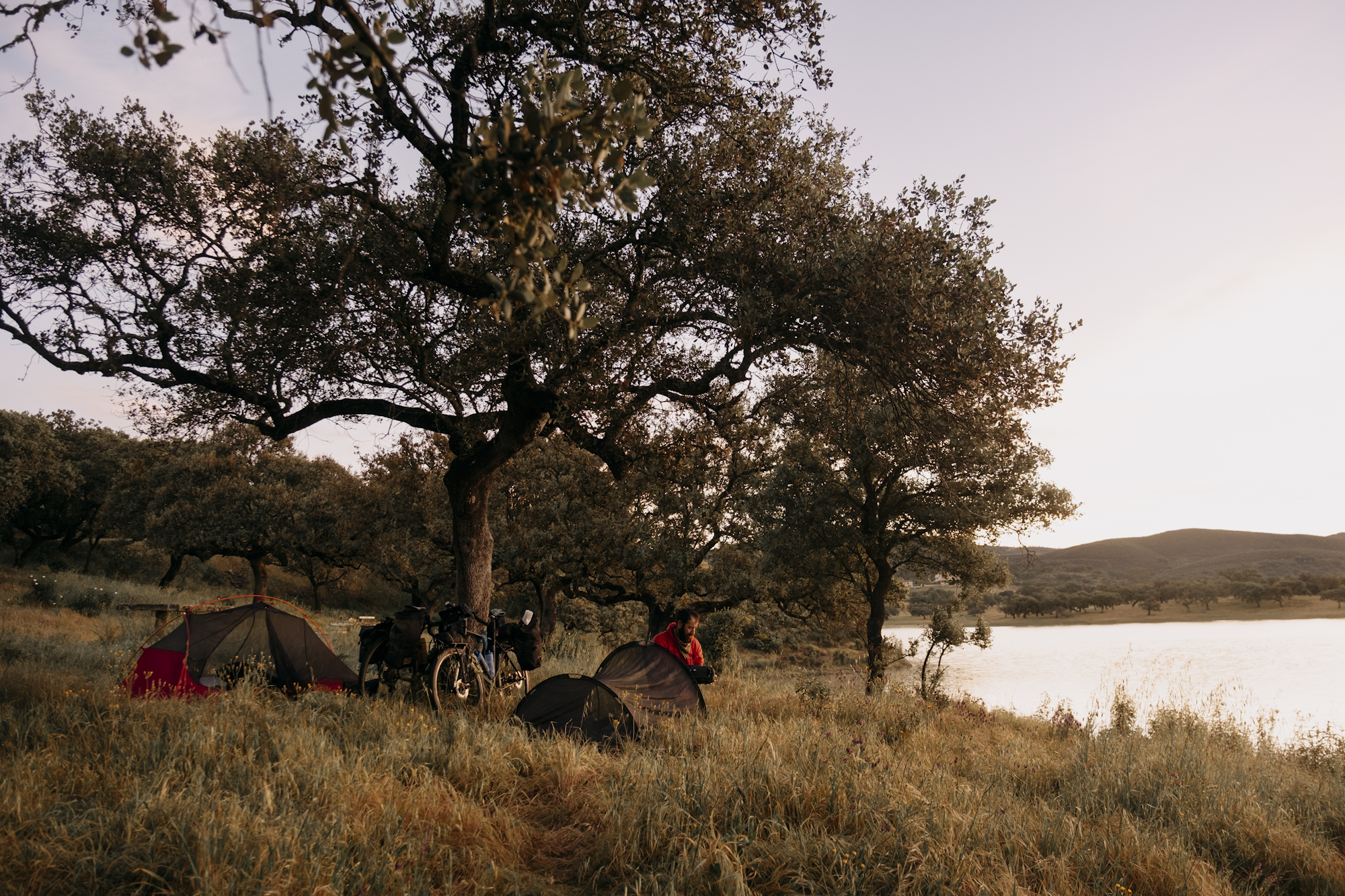 Angustias_Tour_TomasMontes-33 Bikepacking camp under a tree by the waterfront.