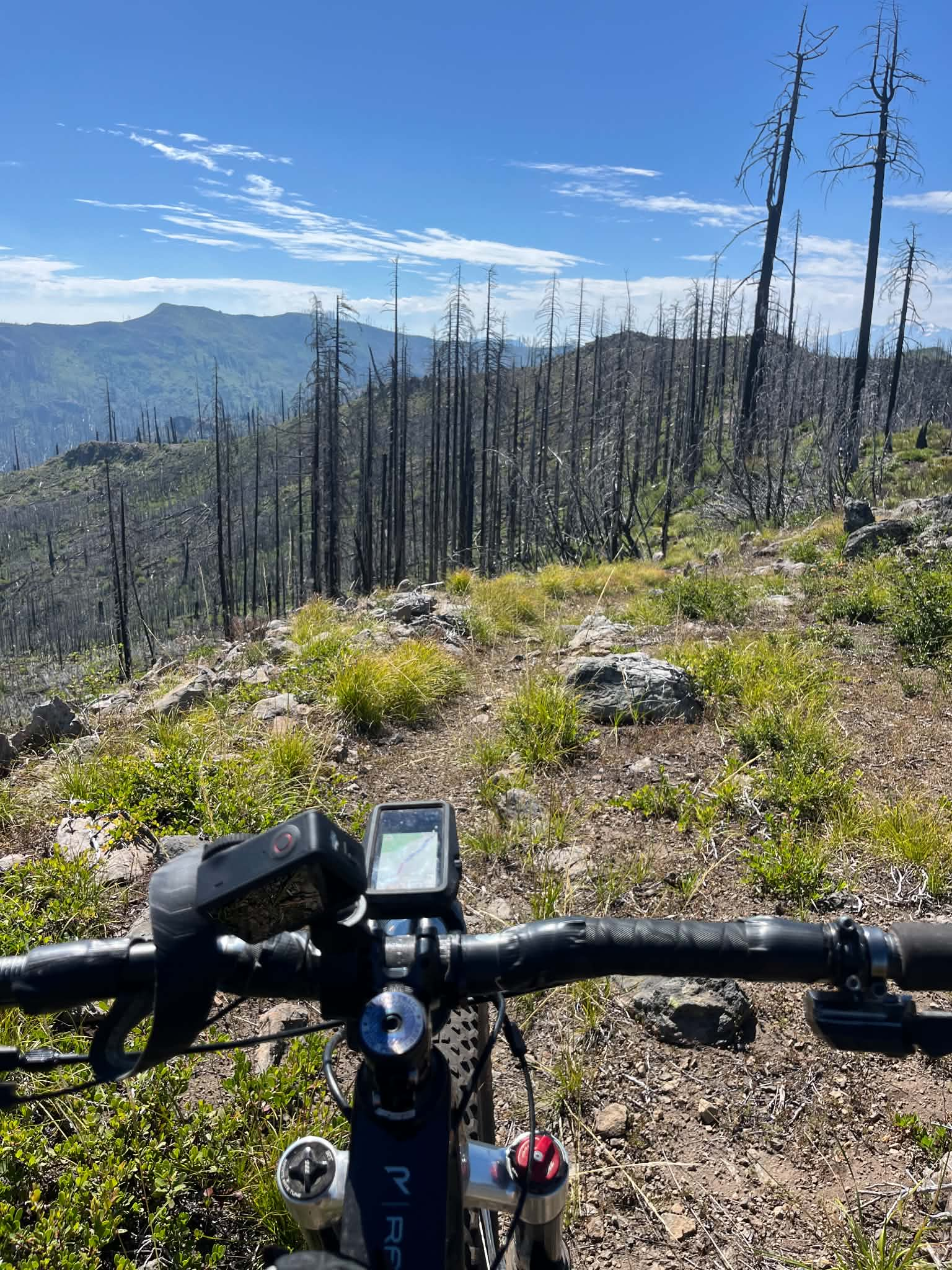 alex3 Open, rideable section of Bunchgrass trail